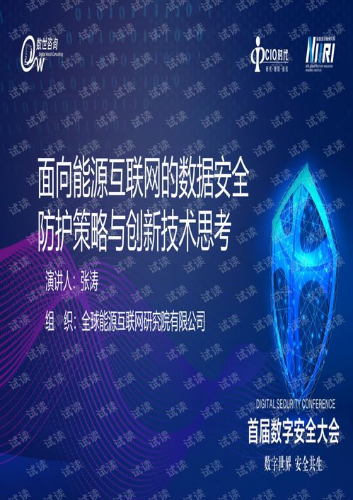 面向能源互聯(lián)網(wǎng)的數(shù)據(jù)安全防護(hù)策略與創(chuàng)新技術(shù)思考